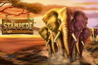 Stampede